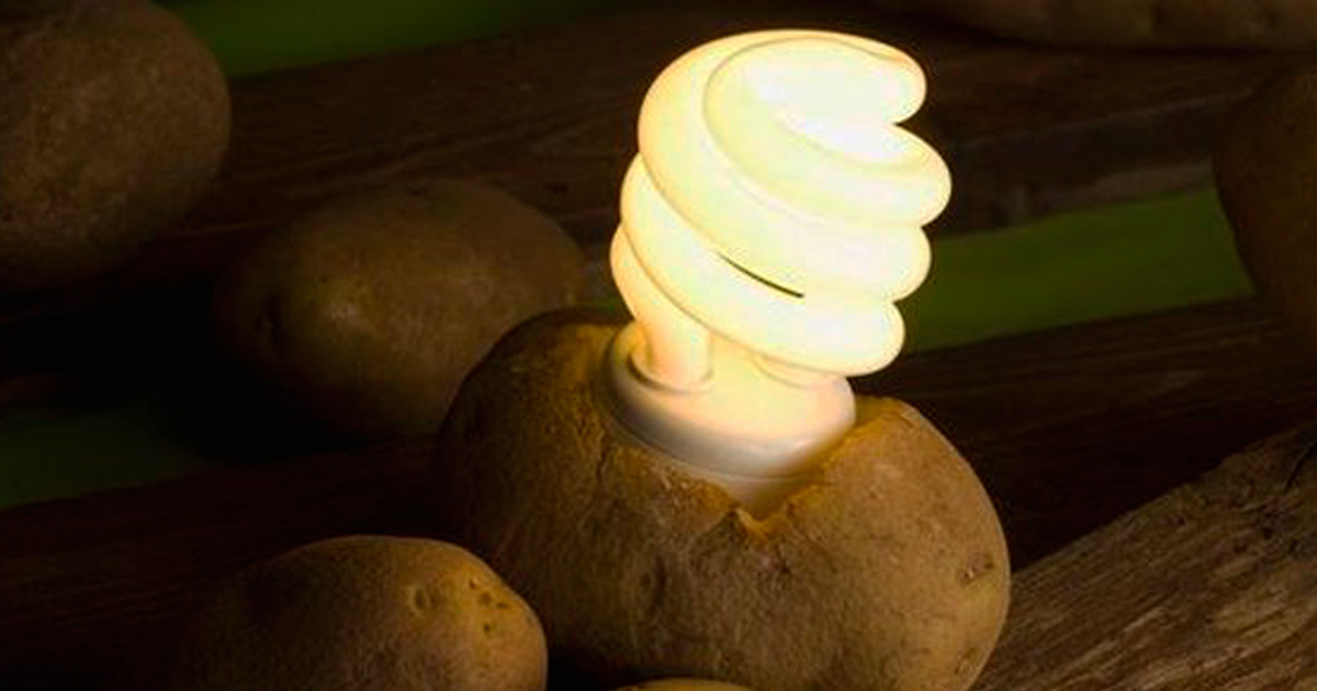 Use A Potato To Keep Your Room Lit For Over A Month