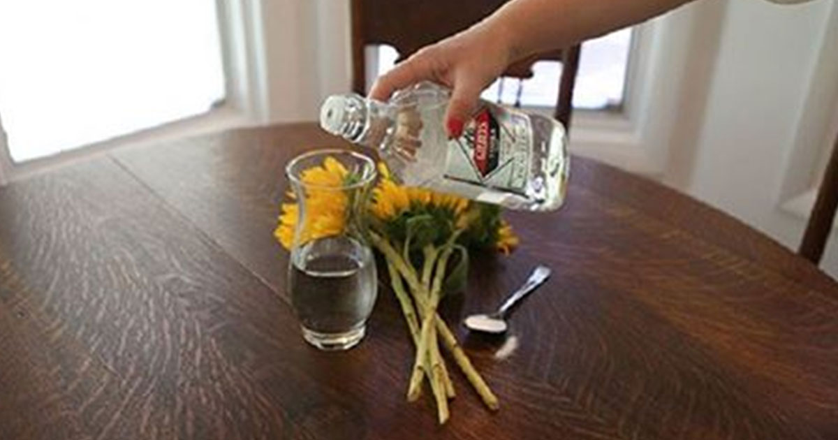 Tired Of Flowers Dying Quickly? These 7 Hacks Will Ensure They Stay