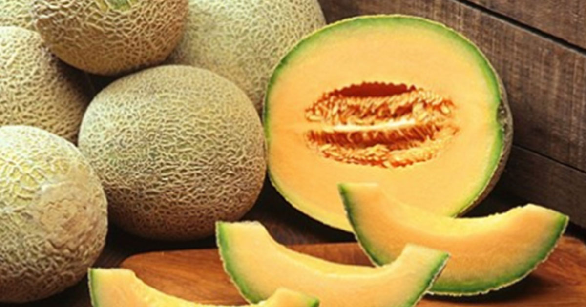 how-to-pick-the-perfect-cantaloupe-in-jan-2024-ourfamilyworld