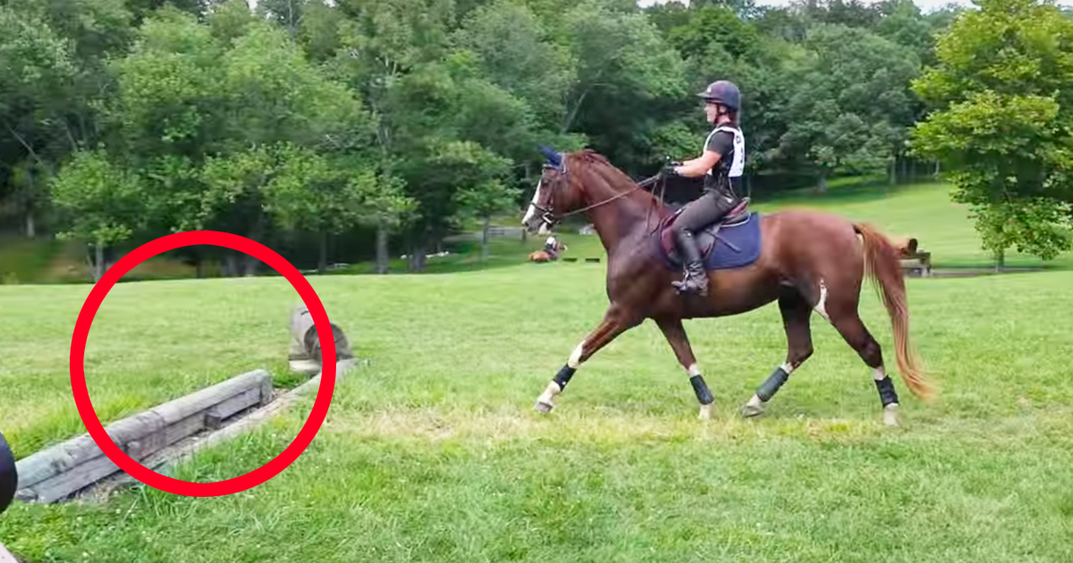 This Horse Has A 'Unique' Way Of Jumping Over These Ditches… HILARIOUS!