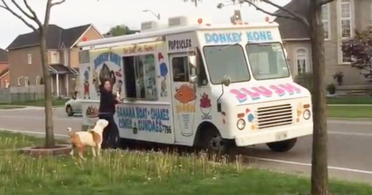 An Ice Cream Truck Makes A Stop. Now Watch Carefully What This Dog Does ...