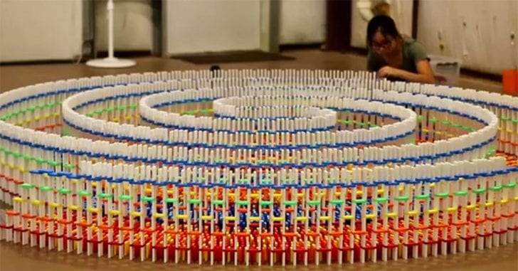 Woman Spends 8 Days Stacking 15,000 Dominoes And Then Sets Them Off ...