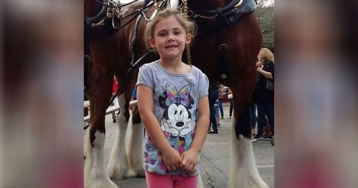 Little Girl Poses With Horse And Dad Laughs When The Horse Poses Too