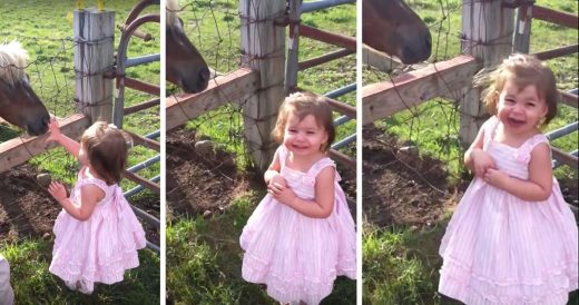 Little Girl Bursts With Joy At Petting Zoo And The Pony Has Everything To Do Wit...