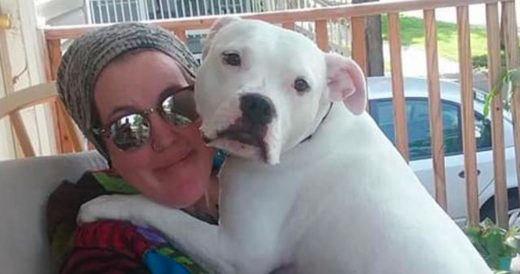 Woman Discovers New Dog’s Abused Past – His Foul Odour Causes Her To Call Po...