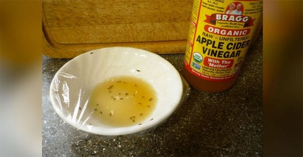 wave-goodbye-to-gnats-with-a-quick-fix-apple-cider-vinegar-trap-metaspoon