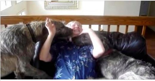 Grandma With Alzheimers Is Welcomed With Warm Cuddles And Kisses By Irish Wolfho...