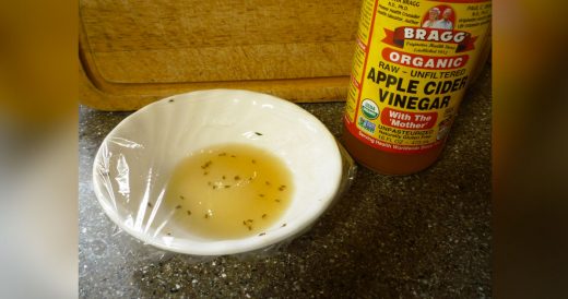 Wave Goodbye To Gnats With A Quick-Fix Apple Cider Vinegar Trap