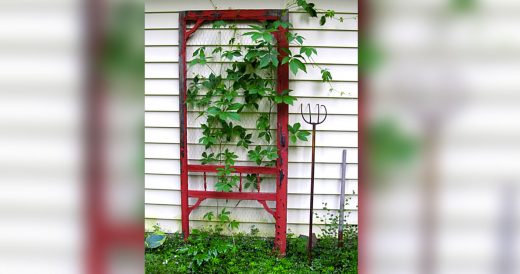 Dad Buys Old Doors And Repurposes Them