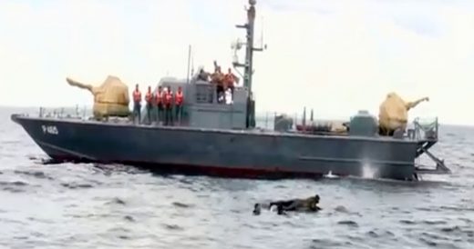 Navy Men Notice Large Mass In Water And Jump Overboard To Start An Epic Rescue M...