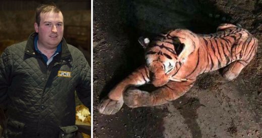 Armed Police Engage In Standoff With Tiger Before Realizing It’s A Stuffed Toy