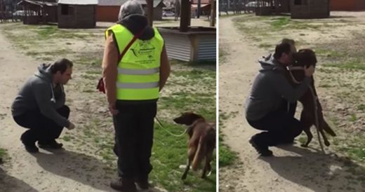 Dog Is Abandoned For Years And One Day She Recognizes A Smell That Changes Her L...