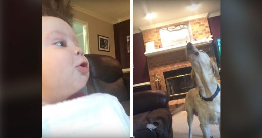 Baby’s Howling With Family Dogs In “Competition” Is Literally Too Cute For...