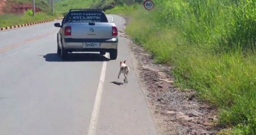 Woman Catches Owners Abandoning Dog And Later Comes To Pup’s Rescue