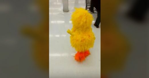 Toddler Runs Around Store In Big Bird Costume And Has Dad In Hysterics