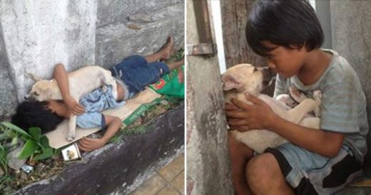 Homeless Boy Sleeps On Pavement Then A Dog Comes Around And Changes His Life