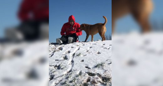 Active Pup Happily Begs For A Sled Ride Down Snowy Slope With Owner