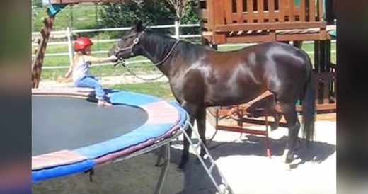 Little Girl Is Determined To Ride Horse