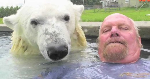 Man And Polar Bear Take A Swim Together