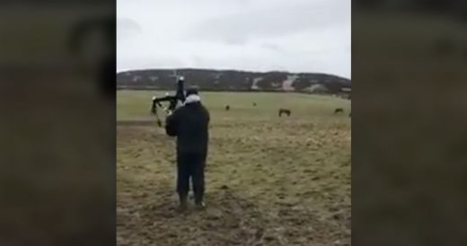 “Horse Whisperer” Calls Horses By Playing Scottish Song On Bagpipes