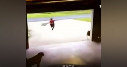 Boy Goes To Hug Dog Left Alone In Garage