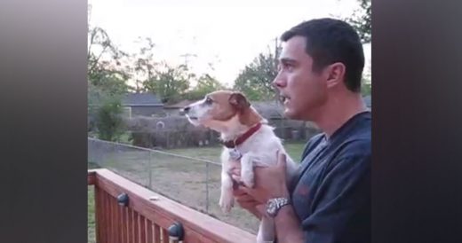 Pup Reacts When Dad Says “Squirrel”