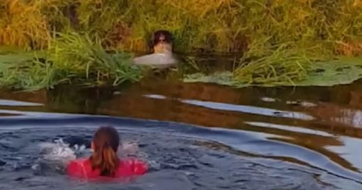 Grandma Jumps In River To Save Drowning Sheep