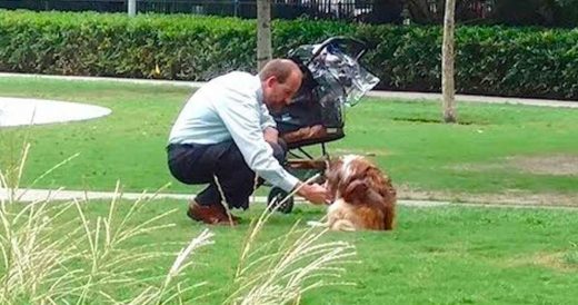 Jogger Sees Man With Empty Stroller Caring For Elderly Dog