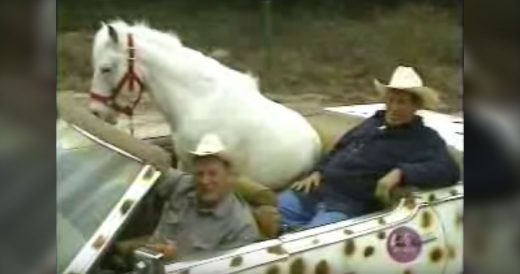 Men And Horse Drive Around In A Custom Car