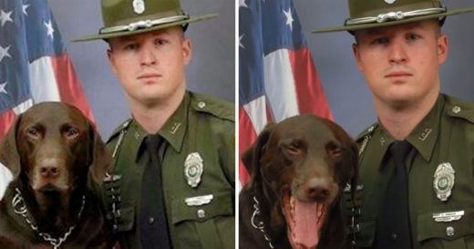 Officer And K-9 Sit For Photo Shoot, But It Goes Hilariously Wrong When Dog Can�...