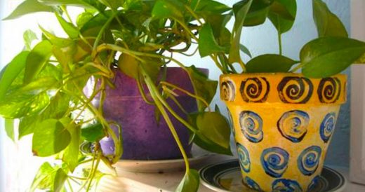 12 Houseplants That Purify The Air For Better Breathing And Living