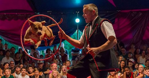 Community Circus Has Pit Bulls Instead of Elephants