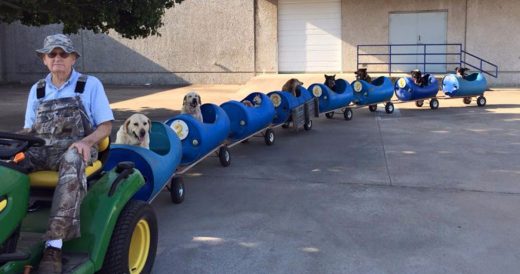 Man Uses Train To Help Foster Dogs Explore Their Town