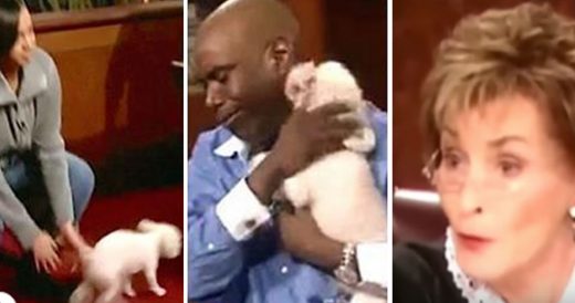 Judge Judy Solves Case When Stolen Dog Runs To True Owner