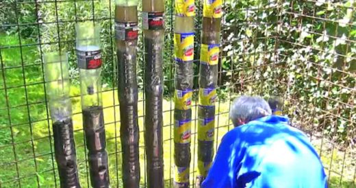 Man Turns Recycled Soda Bottles Into Stackable And Sustainable Garden