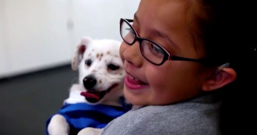 Girl Who Is Deaf Teaches Deaf Puppy Sign Language