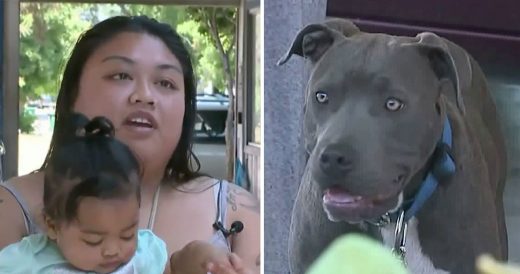 Fast-Acting Pit Bull Drags 7-Month-Old Baby By Her Diaper Out Of House On Fire