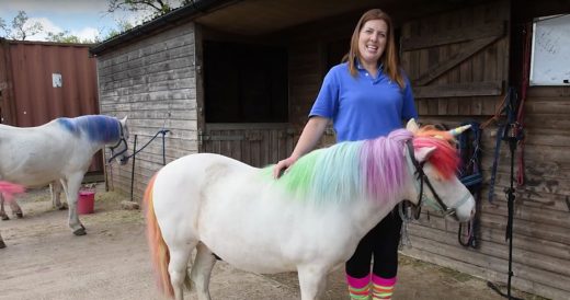 Woman Introduces Her Real Life “Unicorn”