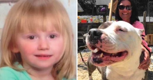 Missing Toddler Emerges From Wilderness With Pit Bull