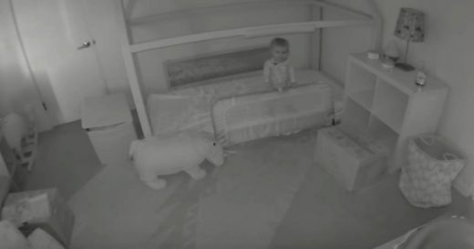 Toddler Escapes From Bedroom With Dogs’ Help