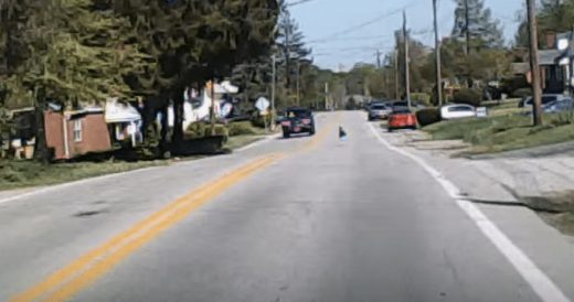 Man Spots A Baby Wandering Alone On The Road