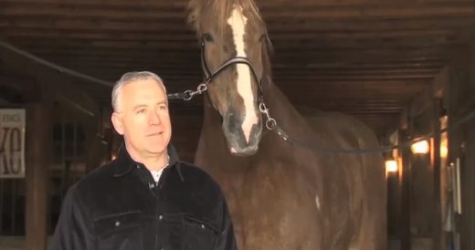 Man Walks Out With Horse Two Times His Size