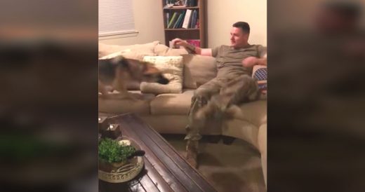 Pup Reunites With Soldier After 9 Months Apart