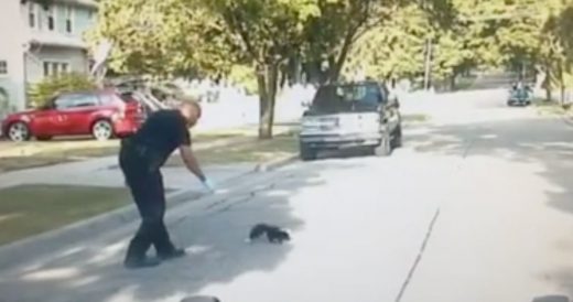 Officer Removes Yogurt Cup Off Frazzled Skunk’s Head