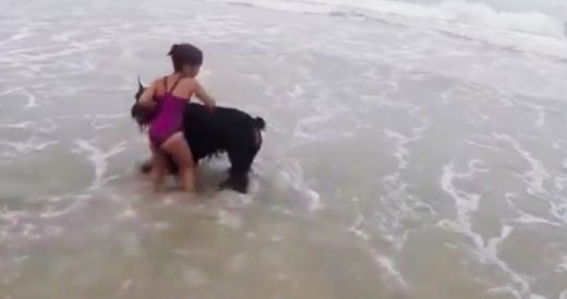 Little Girl Goes Swimming And Dad Watches On As Dog Suddenly Blocks Her Path