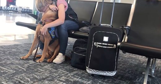 Service Dog Helps Owner Through A Panic Attack