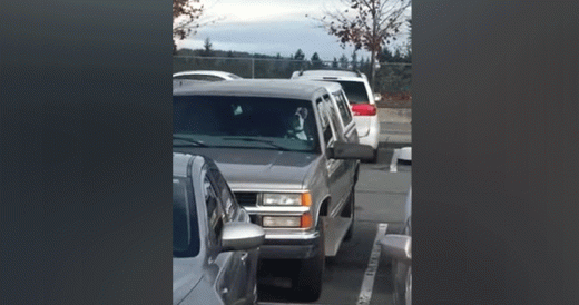 Dad Leaves Boxer In Car While Shopping And Comes Back To Dog Honking Horn