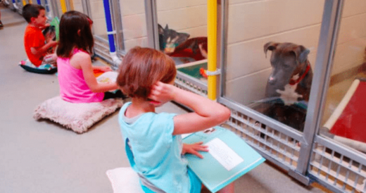 Lonely Shelter Dogs Are Comforted By Children Who Read Them Bedtime Stories