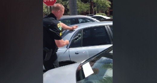 Police Officer Breaks Car Windows To Save Pit Bull Trapped In A Hot Car