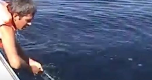 Whale Turns Around To Thank Family Who Saved Them